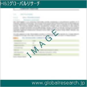 グローバルリサーチ調査レポートのイメージ